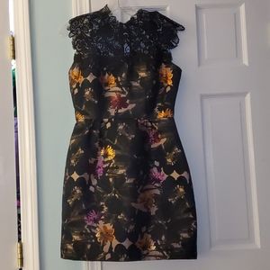 NWT Gorgeous dress with lace neckline